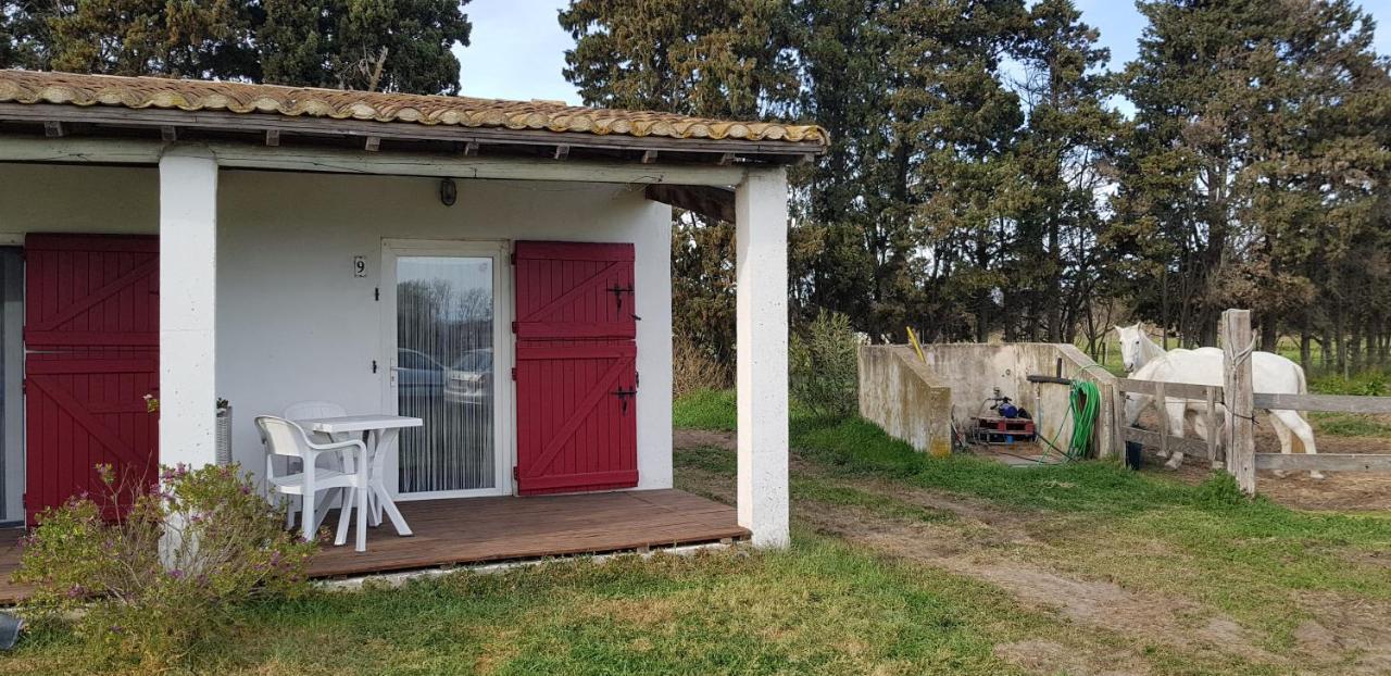Mas Des Cypres Daire Saintes-Maries-de-la-Mer Dış mekan fotoğraf