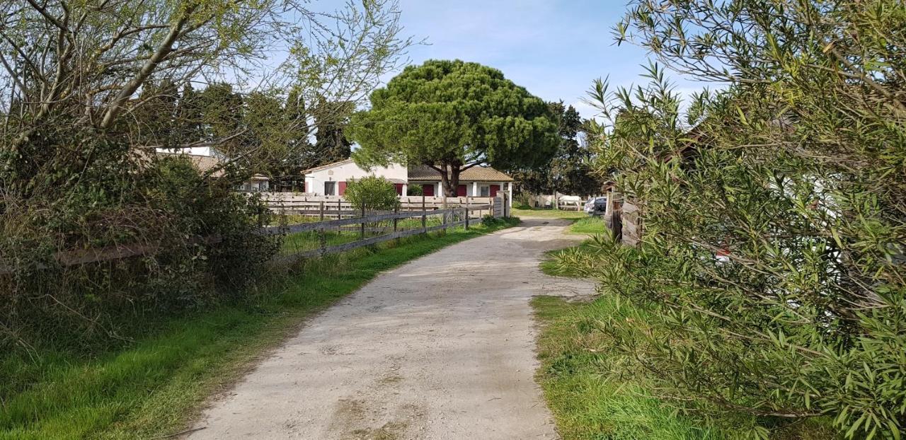 Mas Des Cypres Daire Saintes-Maries-de-la-Mer Dış mekan fotoğraf